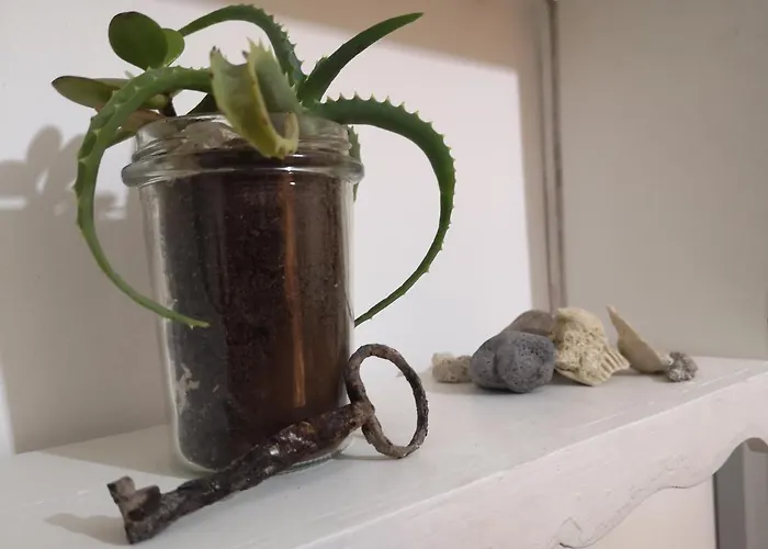 Dimora Adoa Apartament