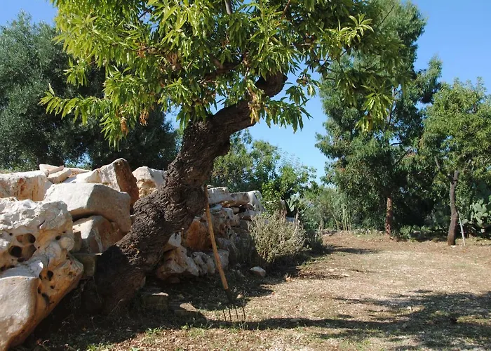 Apartament Dimora Adoa Fasano